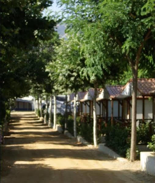 D'aro Camping Platja d'Aro (Playa de Aro)
